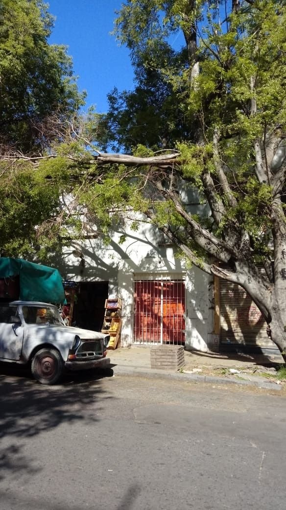 Peligro por una enorme rama que la sostiene un cable