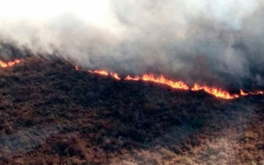 Los incendios ya afectan a trece provincias del país y mandan aviones hidrantes y brigadistas