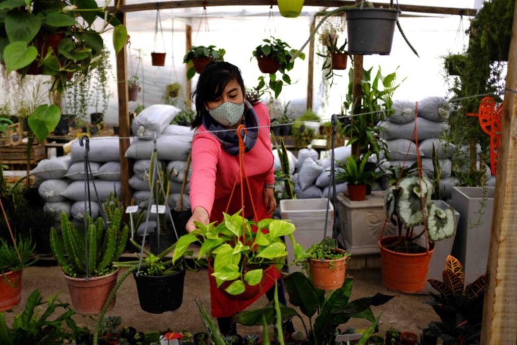 Vida en verde: la jardinería está de moda por el efecto pandemia