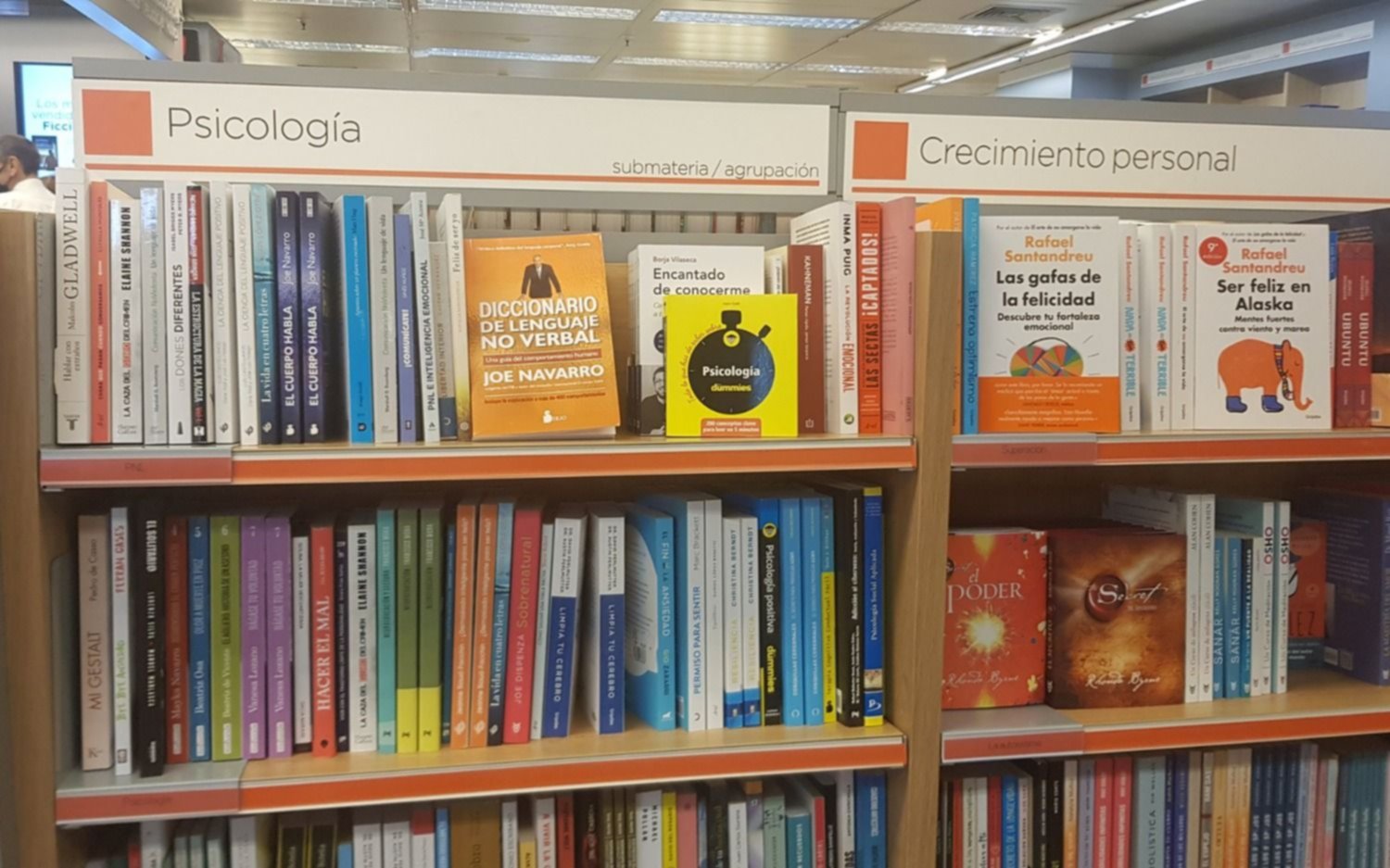 Denuncian trabas para la importación de libros españoles argumentando la calidad de la tinta