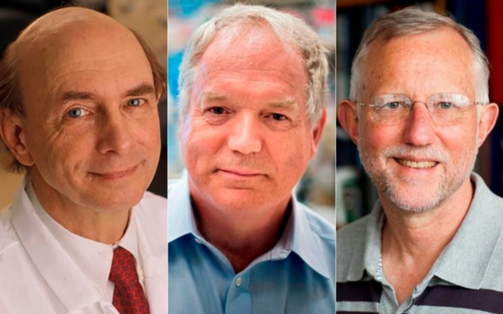 Nobel de Medicina para los tres científicos que descubrieron el virus de la hepatitis C