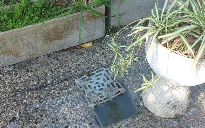Temor en San Carlos por el ingreso de líquidos cloacales a los domicilios