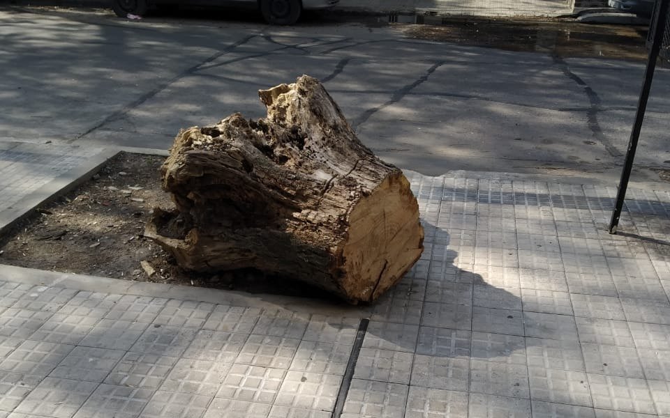 Extrajeron un árbol y dejaron el tronco en la vereda