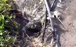 Denuncian que en una vereda de 600 y 116 brota el agua "a borbotones"