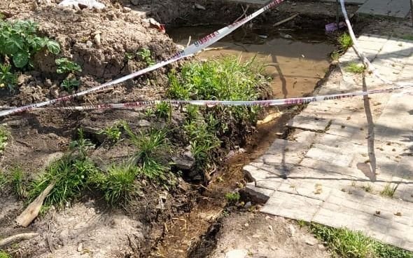 Agua estancada, barro y hasta riesgo de caída de un árbol en 37 y 117