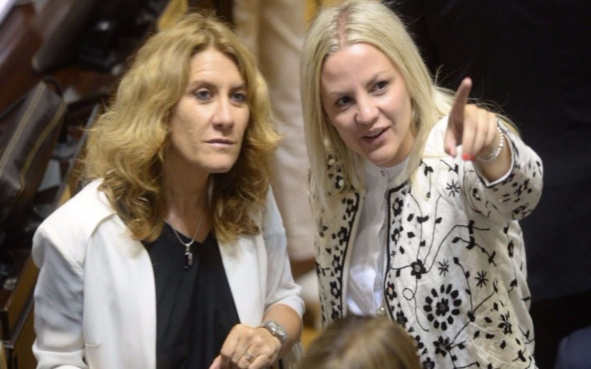 En la Legislatura, diputados de Cambiemos piden cambiar la ley para incorporar las Taser