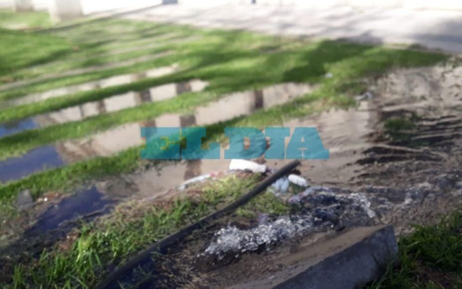 Malestar en la zona de Plaza Malvinas por un derroche "inexplicable"