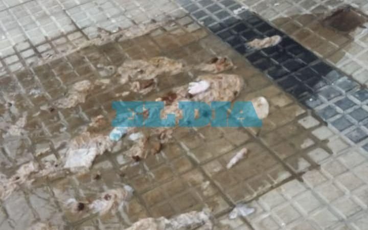 Angustia en 43 entre 14 y 15 por un desborde cloacal: "Es terrible"