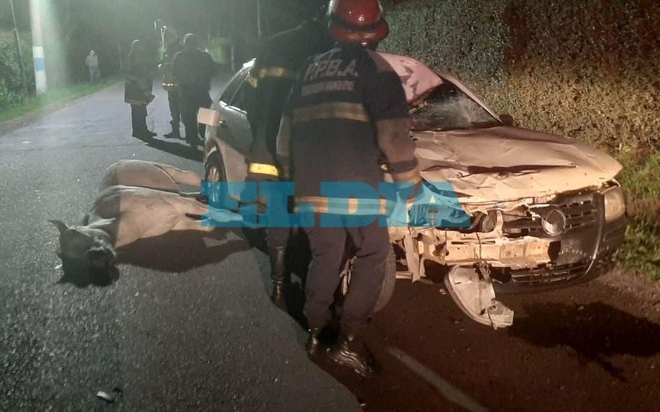 Un accidente en Villa Elisa terminó con un caballo muerto y una familia internada