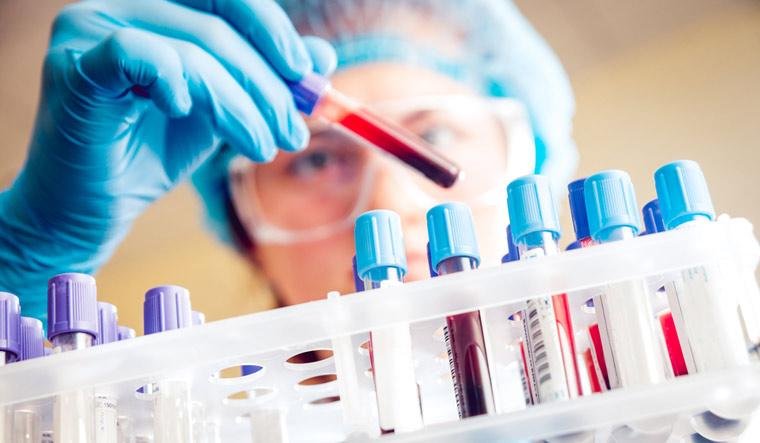 Ivermectina: de eliminar parásitos a convertirse en una esperanza contra el COVID-19