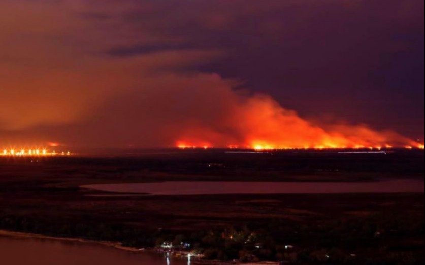 En las islas del Delta se quemaron 300 mil hectáreas: flora y fauna, devastadas