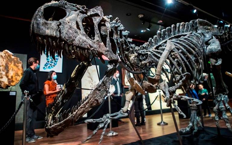 Subastan en París el esqueleto de un dinosaurio en poco más de tres millones de euros