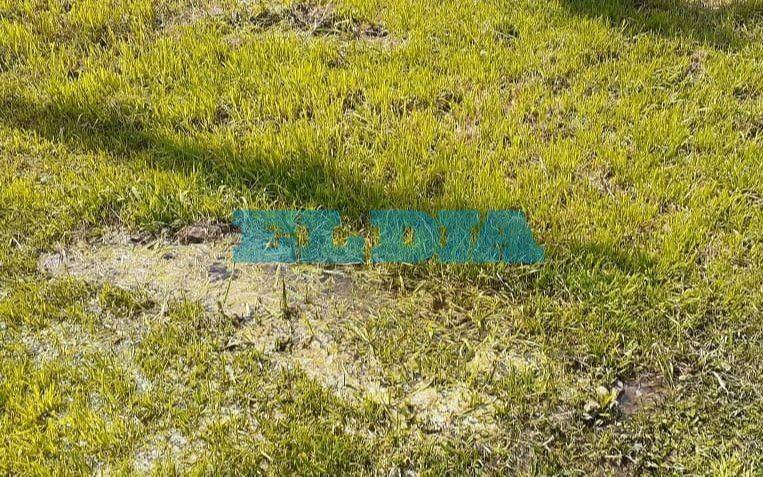 Fastidio en San Carlos: Denuncian que llevan más de 10 días sin agua