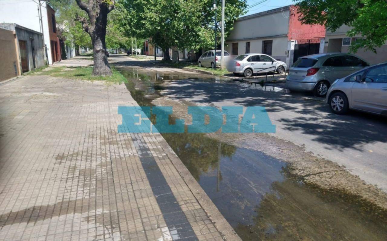 Malestar en la zona del Hospital Rossi por una pérdida de agua y verdín: "Es un peligro"