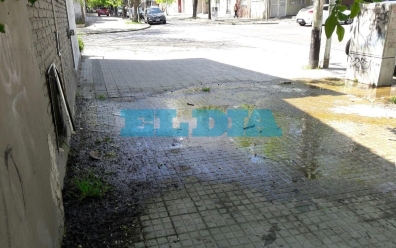 En 16 y 59 denuncian que una pérdida está deteriorando la vereda