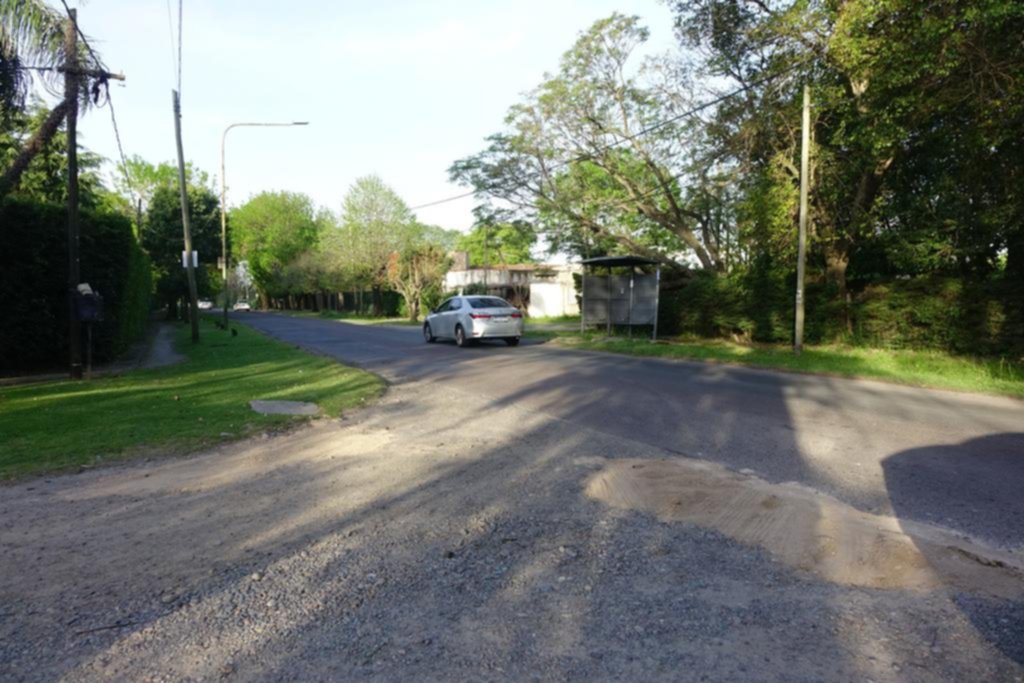Regaba las plantas a la noche y los ladrones aprovecharon para robar pesos y dólares