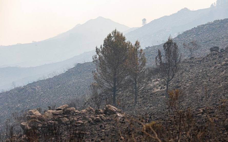 Llovió en Córdoba y se extinguieron los focos de incendio