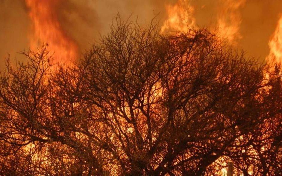 Córdoba: el viento reavivó el incendio forestal en la zona de Capilla del Monte