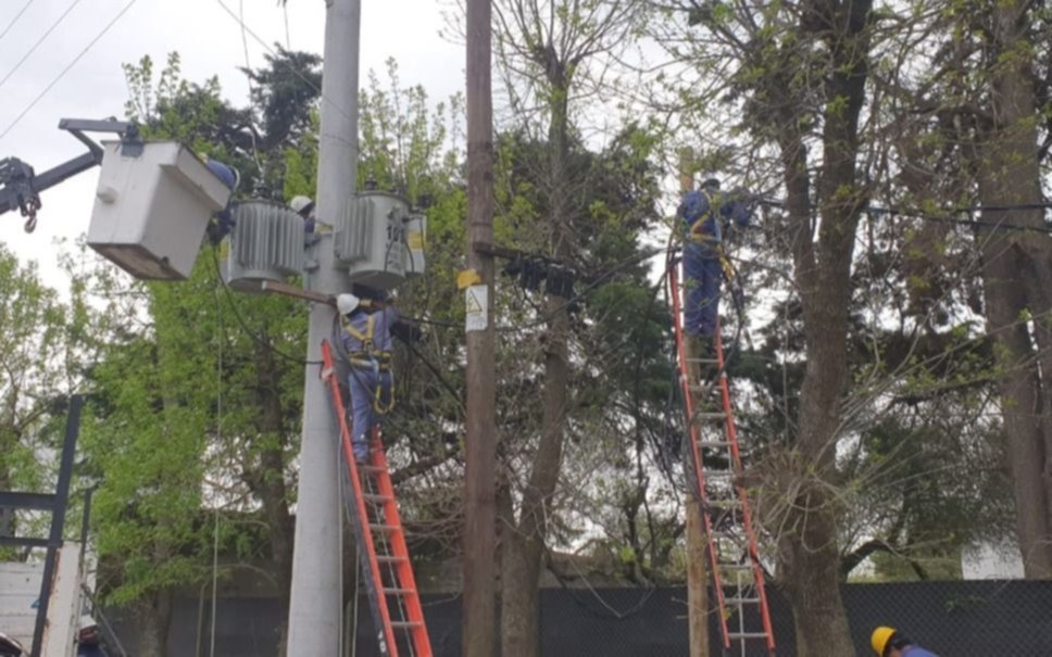 EDELAP colocó nuevas columnas hormigón en diferentes localidades de la Ciudad