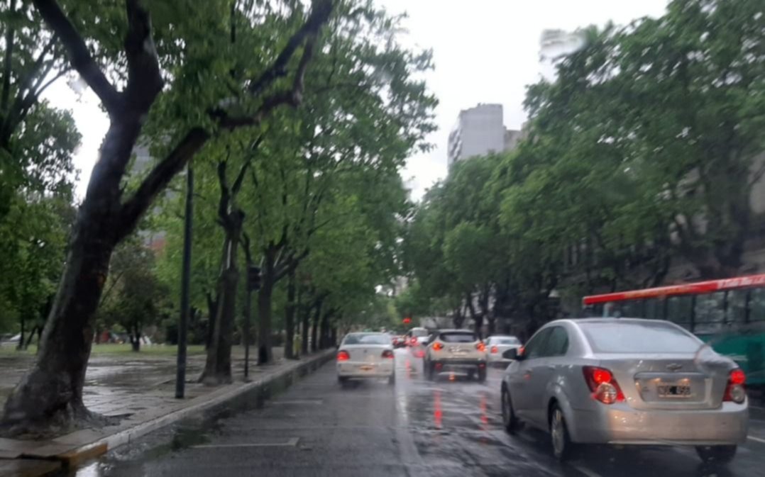 La Plata acumuló casi 200 mm.: cuánto llovió, barrio por barrio