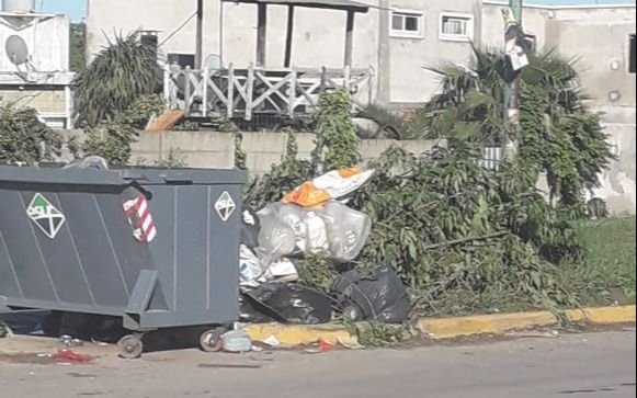 Quejas por contenedores repletos: "La gente de Sicardi nos llena de basura"