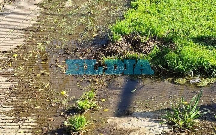 En Tolosa reclaman por una perdida que afecta a los vecinos "desde junio"