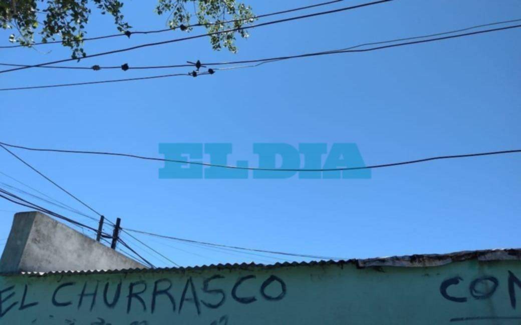 Hartazgo y preocupación en Tolosa por el estado del tendido eléctrico y la falta de poda