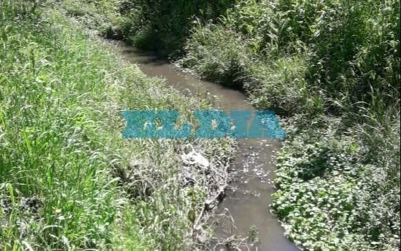 "De acá sin dengue no salís," denuncia un vecino de San Carlos