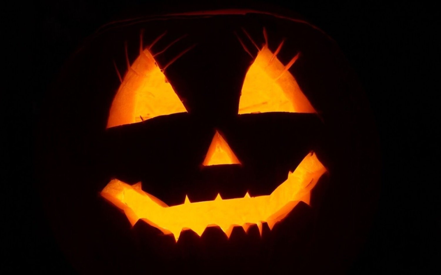 Rituales, cuentos y los fenómenos naturales: por qué la calabaza es el símbolo distintivo de Halloween 