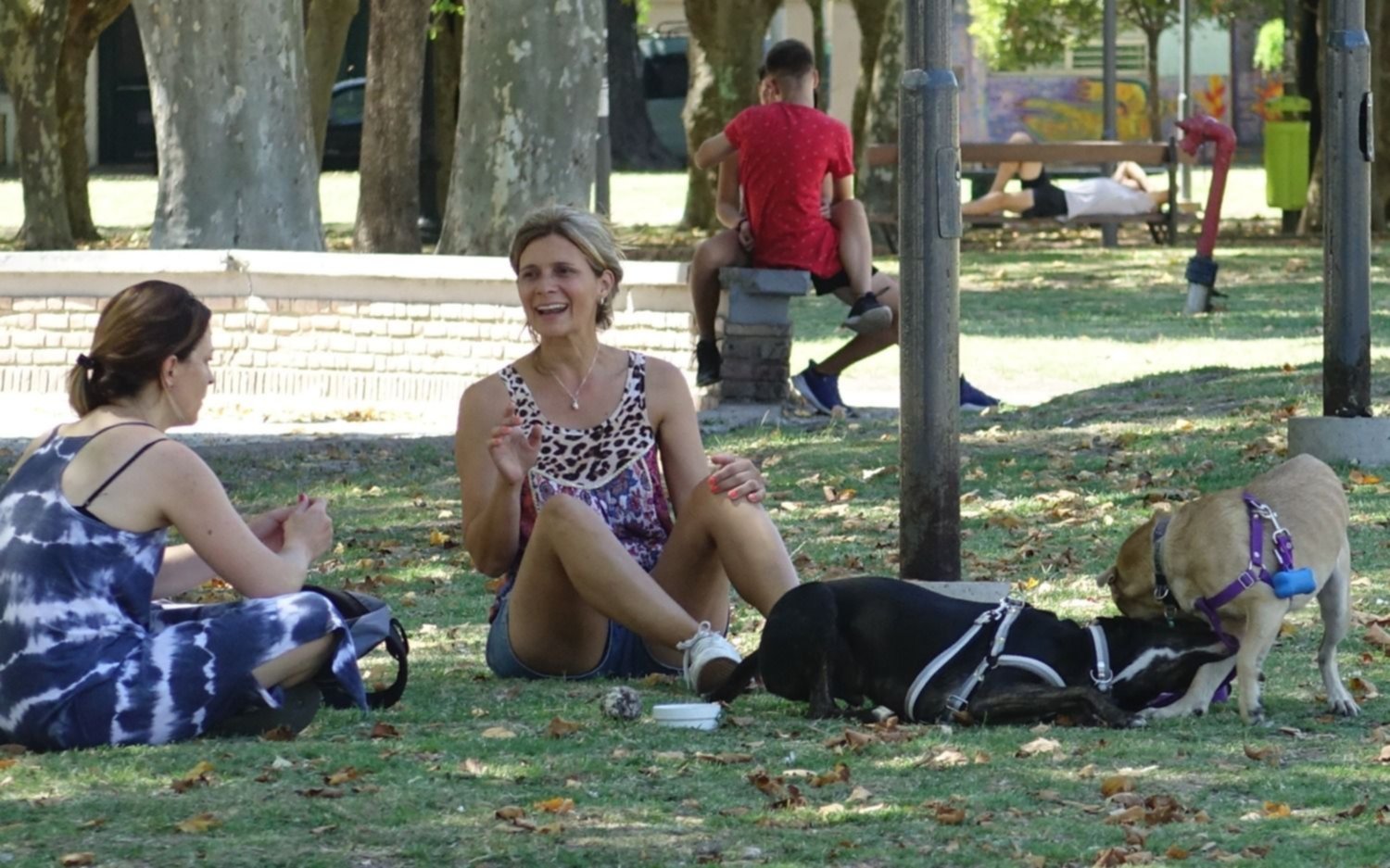 El clima para el finde: viernes con máxima de 20º, sábado con tormenta y domingo fresquito