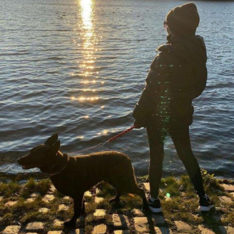 Travieso: el perro de Graciela Alfano mordió a un canillita