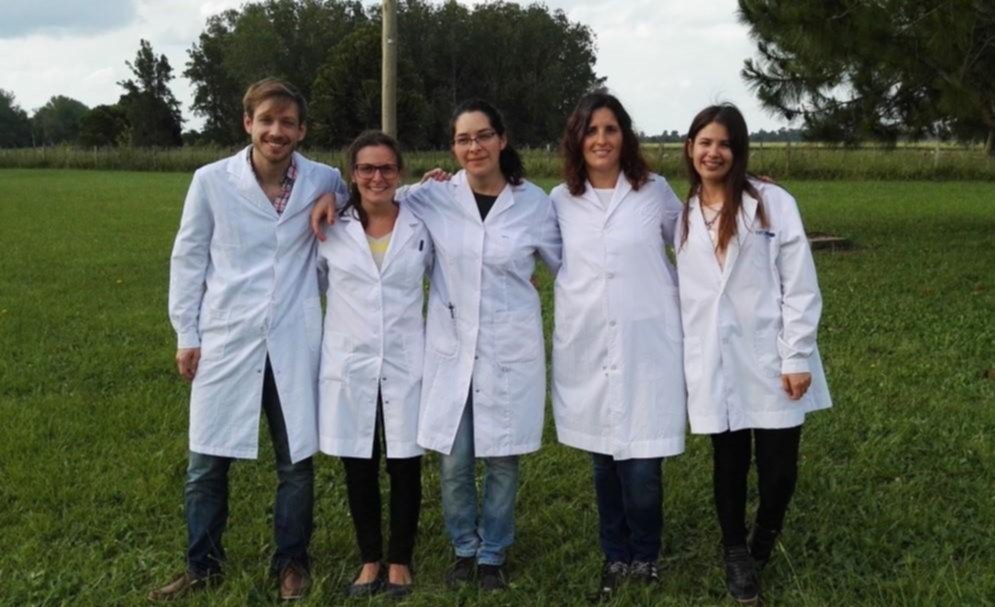 Cuidar al hígado: una proteína en el radar de investigadores locales