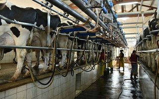 Aumentos en los lácteos: "El tambero solo cobra el 26 o 27% del valor final del producto en góndola"