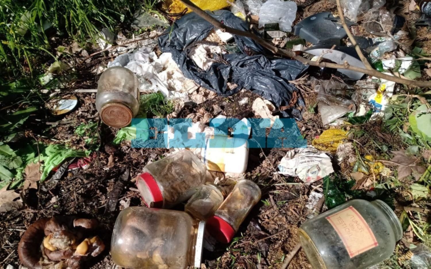 Montaña de basura preocupa a vecinos de City Bell: afirman que tiraron vísceras patógenas