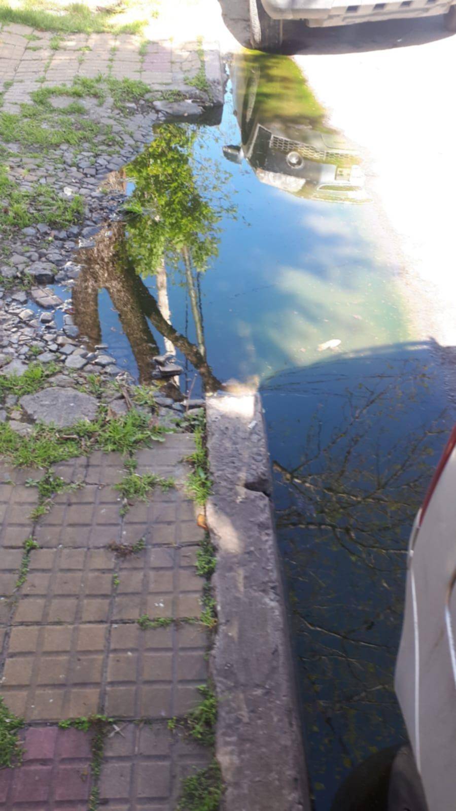 Una laguna desde el mes de junio, en una calle de la Loma