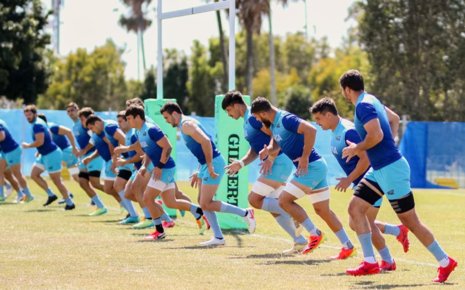 Los Pumas con horarios confirmados para la "ventana de noviembre" ante Francia, Italia e Irlanda