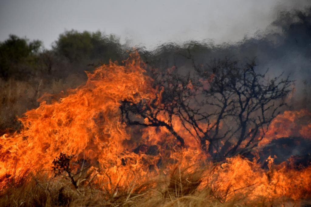 Sigue la lucha contra los incendios en Córdoba