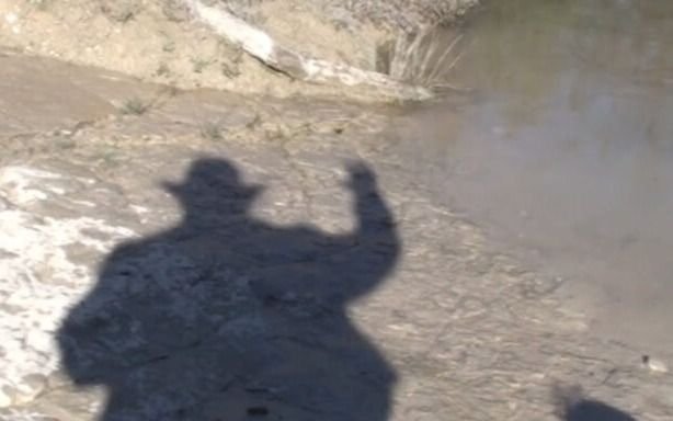 "Qué será del verano": una vida de película