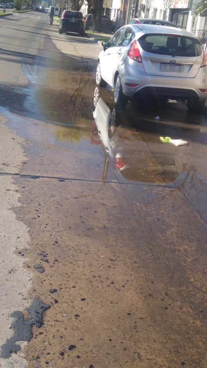 Agua permanente y verdín en una calle de Tolosa