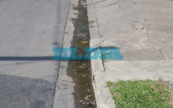 Vecinos de Altos de San Lorenzo denuncian la presencia de heces sobre la vereda