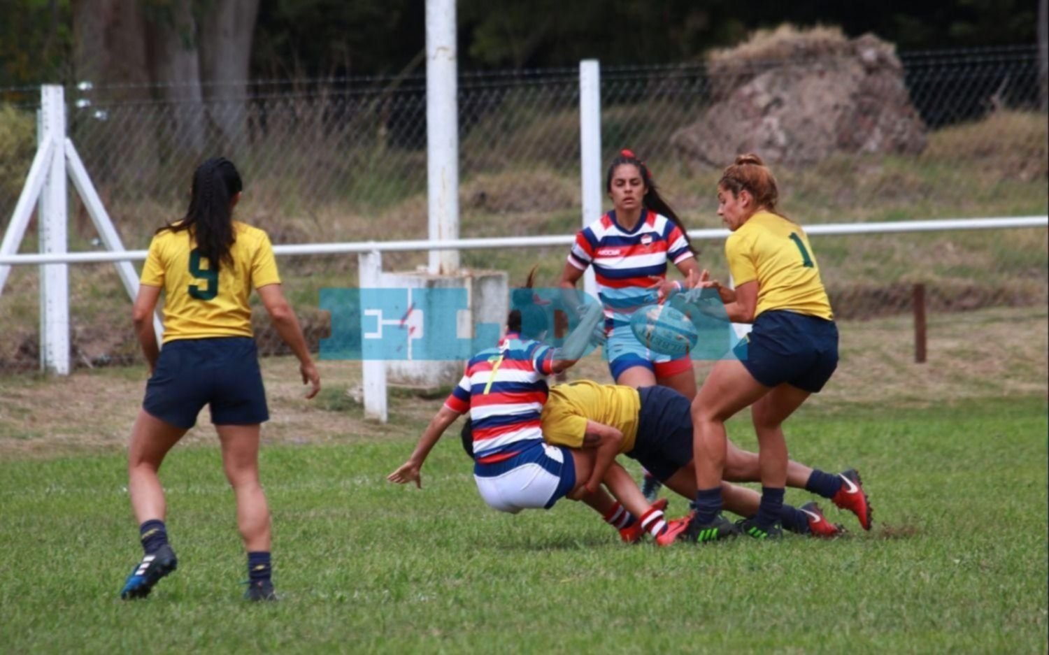 Las Canarias se quedaron sin aire en la Final de la Copa de Plata en Junín