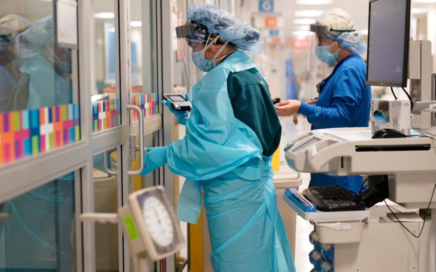 ¿Murciélago o laboratorio?: la OMS tiene nuevo equipo para investigar el origen del Covid