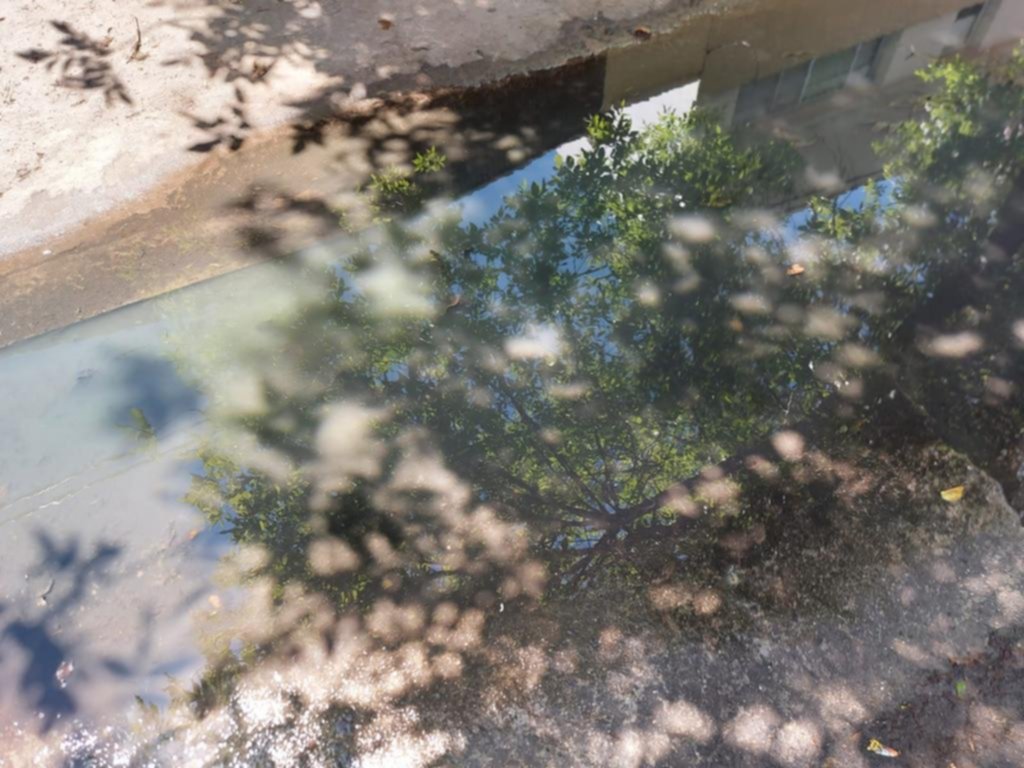 Desechos que corren por la cuneta, en varias calles