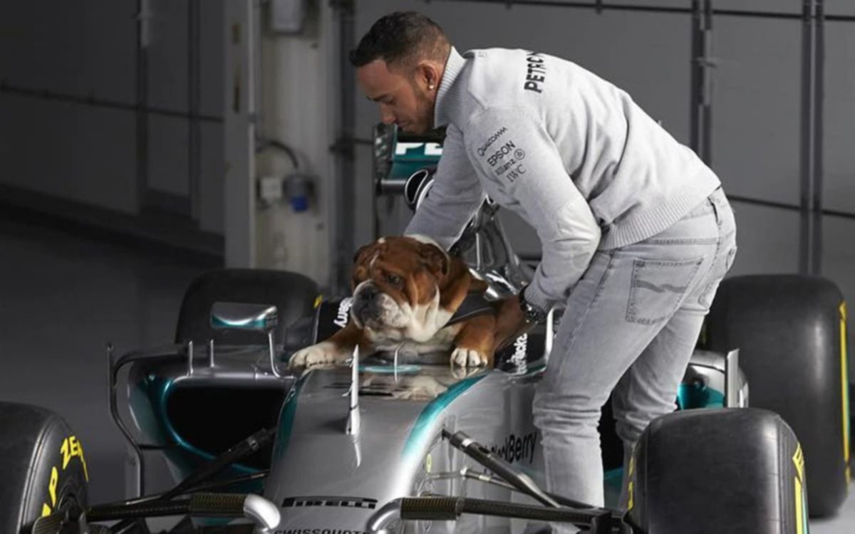 No sólo Verstappen le trae problemas a Hamilton: un lío con el perro