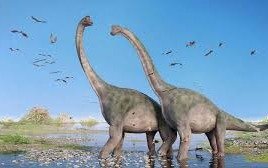 Dinosaurios: en el sur argentino vivían en manadas 
