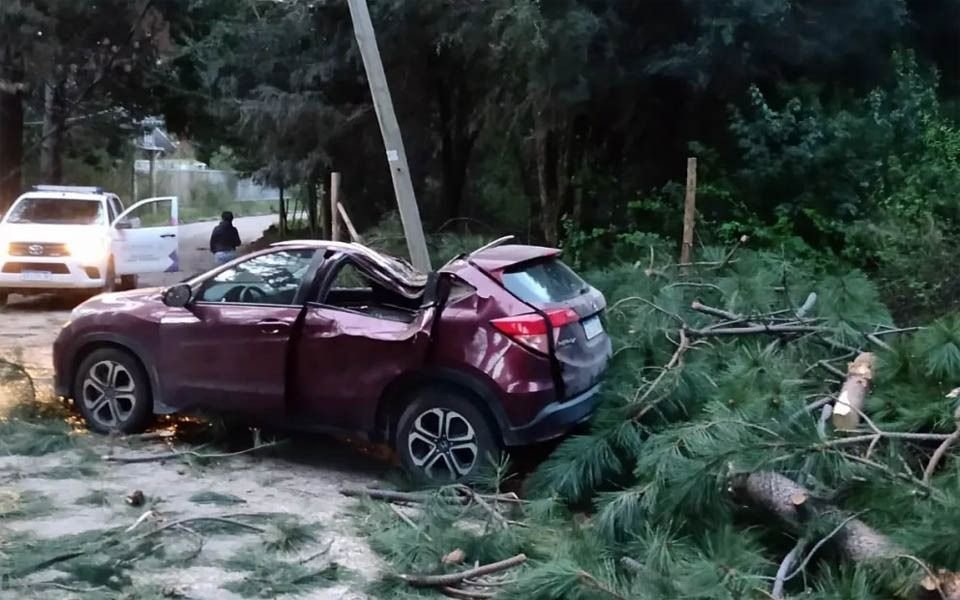 Dos platenses heridas, una de gravedad, en el temporal en Bariloche: un árbol les aplastó el auto