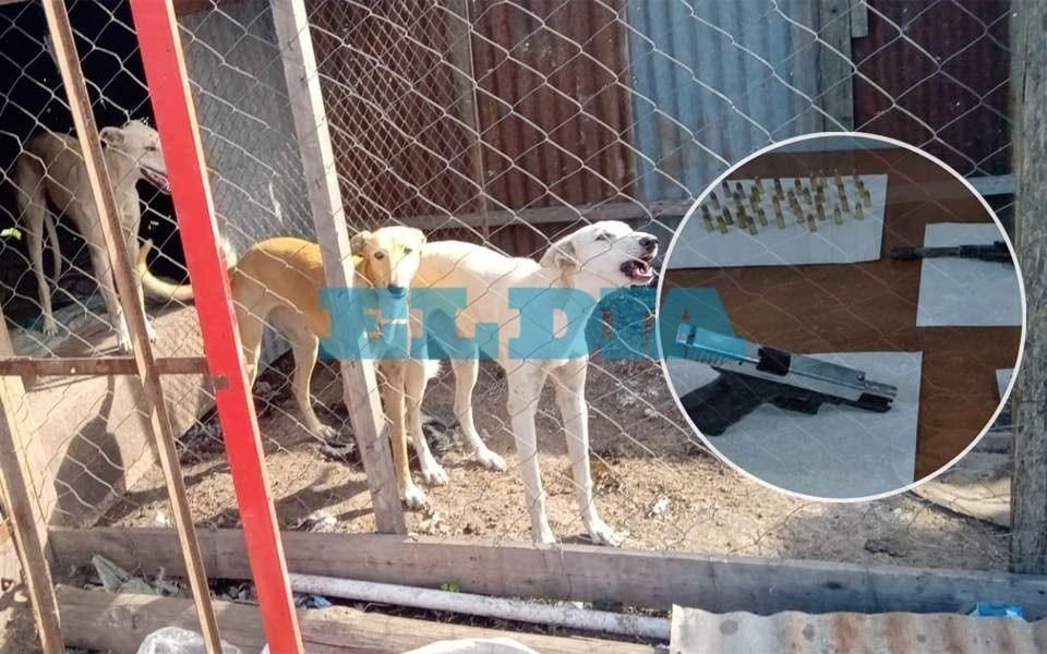 VIDEO. Fueron a buscar perros robados y encontraron pistolas y municiones