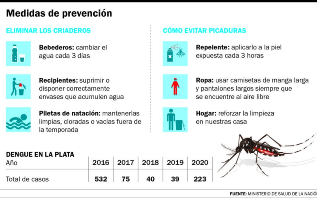 ¡Peligro, dengue!: tras el calor, llegan los mosquitos y hay alarma