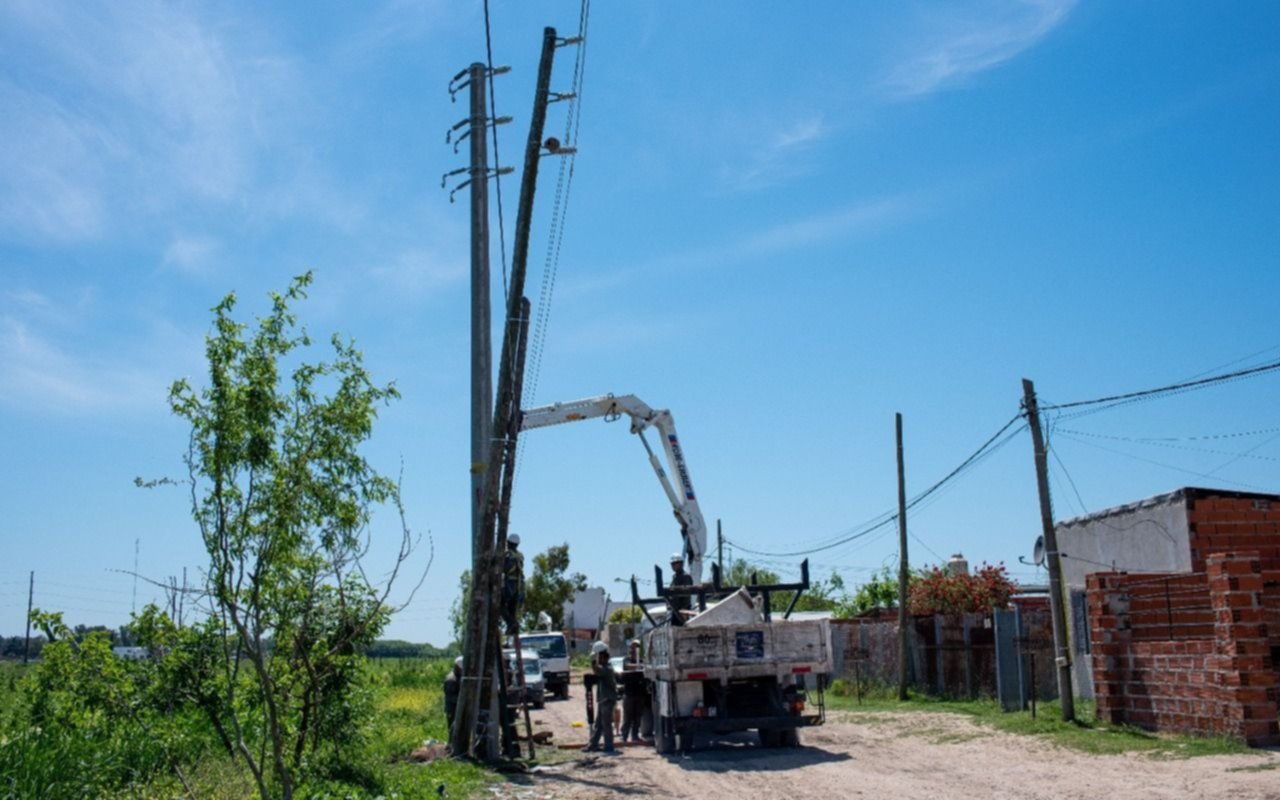 Renuevan tendidos eléctricos de media tensión en Berisso