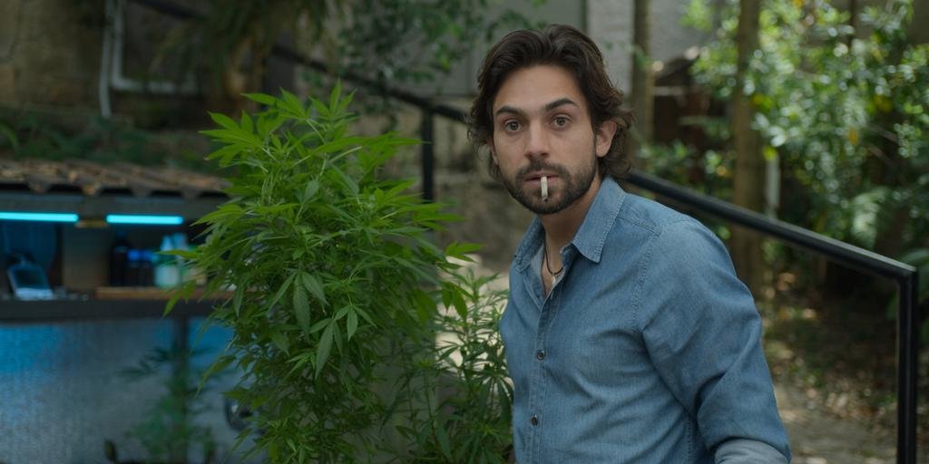 “MalaYerba”: ricos pero pobres, en el negocio del cannabis medicinal